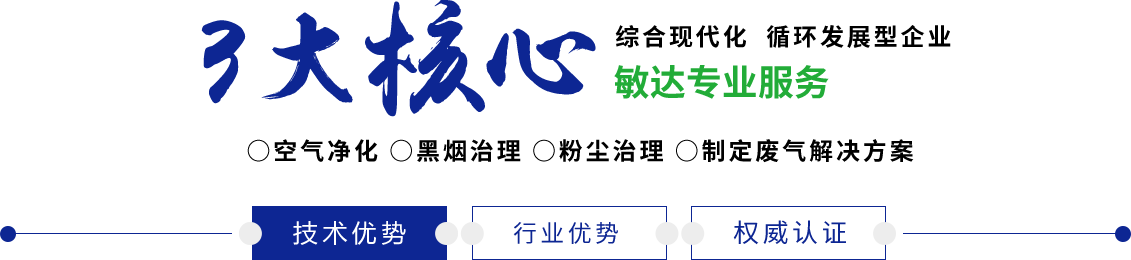 啊,好大,鸡巴插进来,操死我,射进来视频敏达环保科技（嘉兴）有限公司